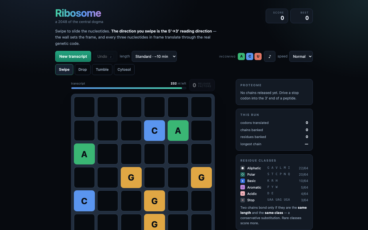 Ribosome 2048